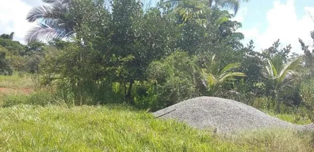 Fazenda/Sítio à venda, 2000m² no Setor Central, Terezópolis de Goiás