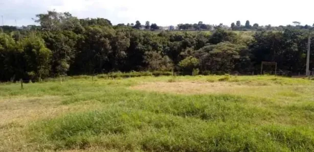 Fazenda/Sítio com 3 Quartos à venda, 160m² no Área Rural de Piratininga, Piratininga