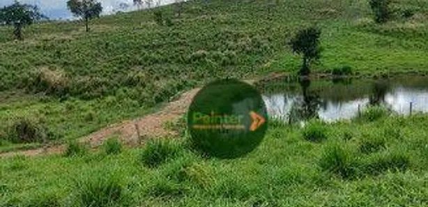 Fazenda/Sítio à venda, 12874400m² no Zona Rural, Niquelândia