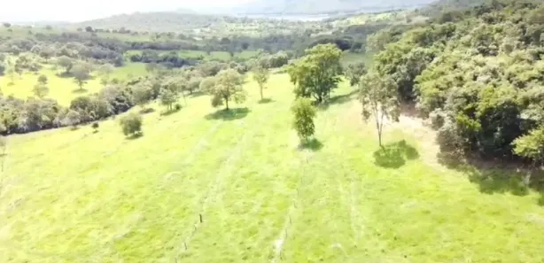 Fazenda/Sítio à venda no Vila São José, Inhumas