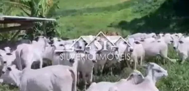 Fazenda/Sítio com 5 Quartos à venda, 350m² no Posse, Petrópolis