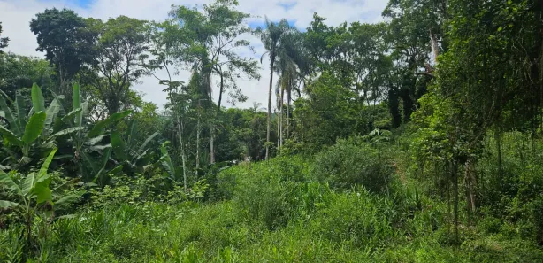 Lote/Terreno à venda, 900m² no Antonina, Antonina