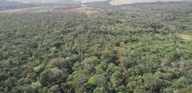 Fazenda/Sítio à venda, 43562m² no , Terezópolis de Goiás
