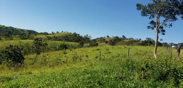 Fazenda/Sítio com 4 Quartos à venda, 550000m² no Padre Bernardo, Padre Bernardo