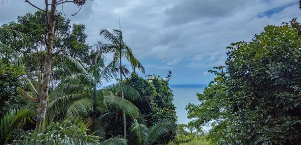 Casa de Condomínio com 6 Quartos para venda ou aluguel, 400m² no Balneario Praia do Perequê, Guarujá