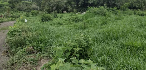 Lote/Terreno à venda, 20000m² no Zona Rural, Fortuna de Minas