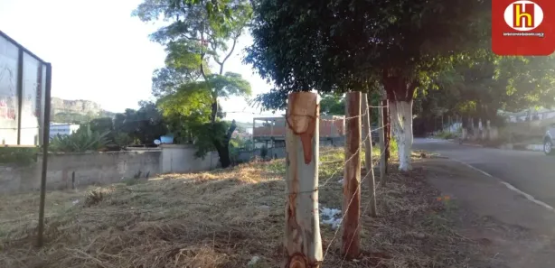 Lote/Terreno à venda, 1014m² no Centro, São José da Lapa