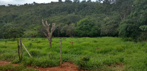 Lote/Terreno à venda, 1000m² no Campinho, Lagoa Santa