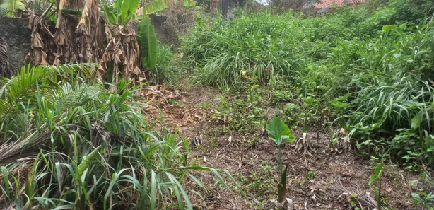 Lote/Terreno à venda, 330m² no Flores, Manaus