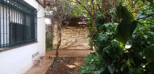 Casa com 3 Quartos à venda, 268m² no Jardim dos Ipês, Araraquara