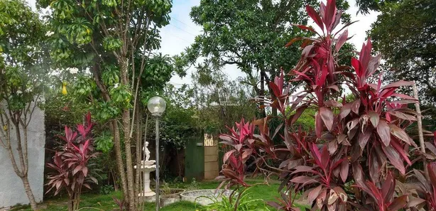 Fazenda/Sítio à venda, 800m² no Tranqueira, Altos