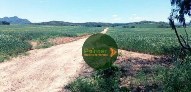 Fazenda/Sítio à venda, 5953200m² no , Niquelândia