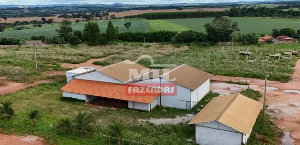Fazenda/Sítio à venda, 500m² no , Itaberaí