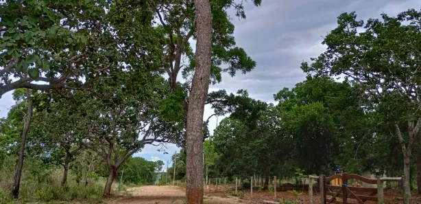 Lote/Terreno à venda, 20000m² no , Araçaí