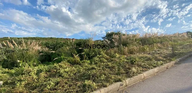 Lote/Terreno à venda, 275m² no Cruzeiro, Caxias do Sul