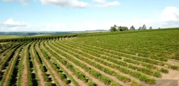 Fazenda/Sítio à venda, 62m² no Centro, Pirajuí