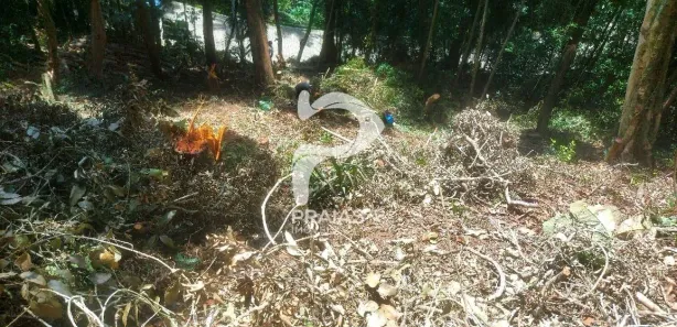 Lote/Terreno à venda, 1650m² no Balneario Praia do Perequê, Guarujá