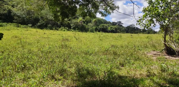 Casa com 4 Quartos à venda, 250000m² no , Buritis