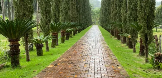 Fazenda/Sítio com 3 Quartos à venda, 48400m² no Área Rural, Goianira