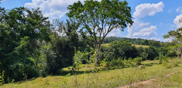 Lote/Terreno à venda, 20000m² no Zona Rural, Fortuna de Minas
