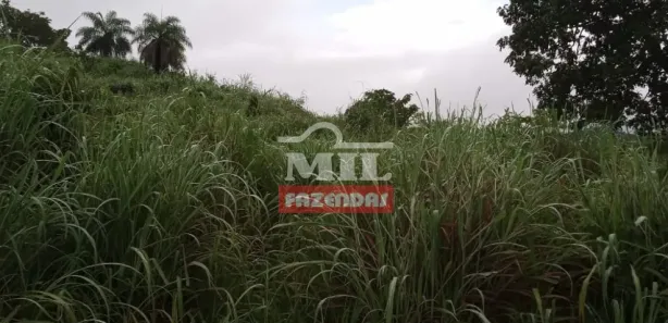 Fazenda/Sítio à venda, 484000m² no , Jaraguá