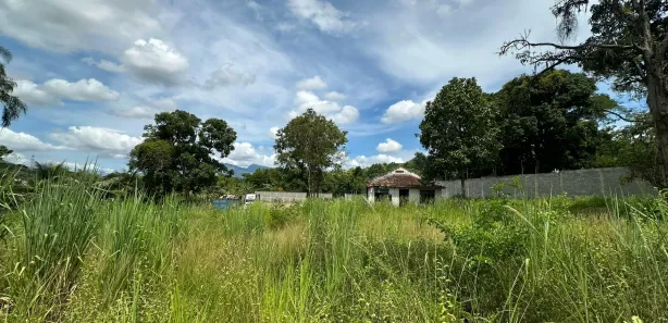 Fazenda/Sítio com 3 Quartos à venda, 8700m² no Campo Grande, Rio de Janeiro