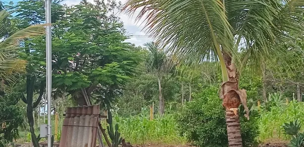 Fazenda/Sítio com 2 Quartos à venda, 20000m² no , Brasília
