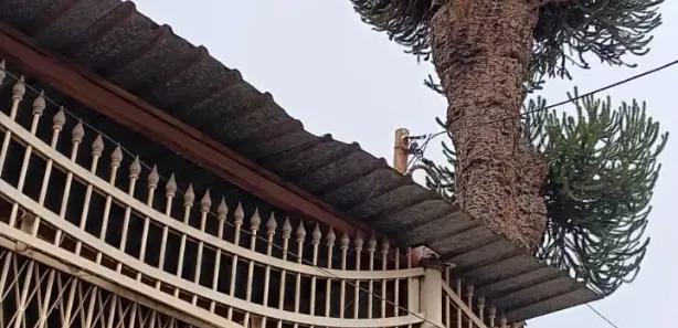 Casa com 4 Quartos à venda, 240m² no Taguatinga Sul, Brasília