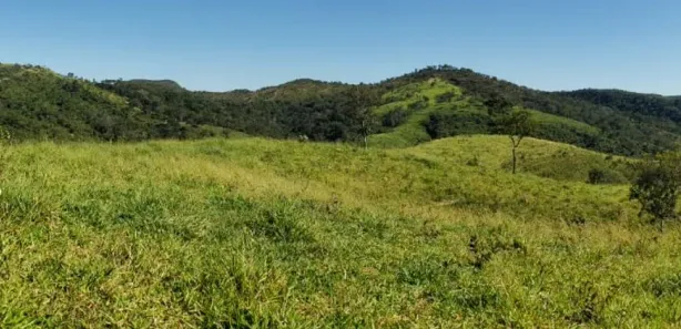 Fazenda/Sítio com 4 Quartos à venda, 550000m² no Padre Bernardo, Padre Bernardo