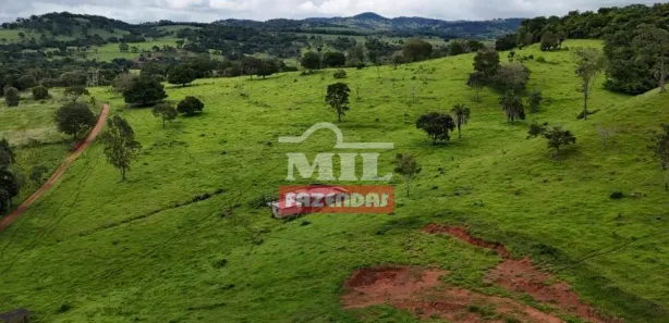Fazenda/Sítio à venda, 20000m² no Vila Mutirão, Inhumas