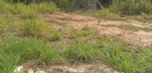 Lote/Terreno à venda, 878m² no Centro, Simões Filho