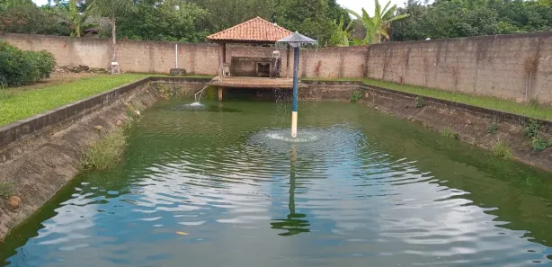 Fazenda/Sítio com 3 Quartos à venda, 6000m² no , Brasília