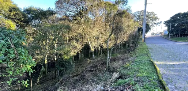Lote/Terreno à venda, 389m² no Cruzeiro, Caxias do Sul