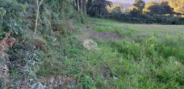 Fazenda/Sítio com 1 Quarto à venda, 20000m² no Monte Verde, Farroupilha