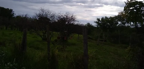 Fazenda/Sítio à venda, 49000m² no Área Rural de Valparaíso de Goiás, Valparaíso de Goiás