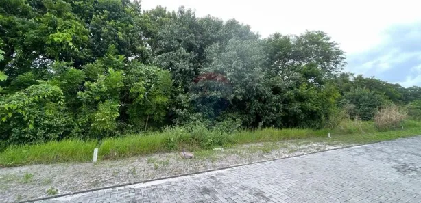 Lote/Terreno à venda, 310m² no , Vera Cruz