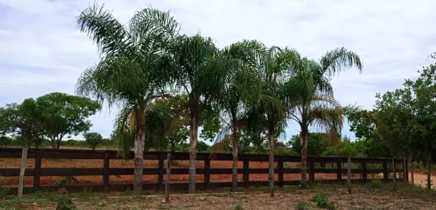 Lote/Terreno à venda, 20000m² no , Araçaí