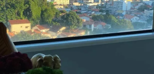 Apartamento com 3 Quartos à venda, 144m² no Horto Florestal, Salvador