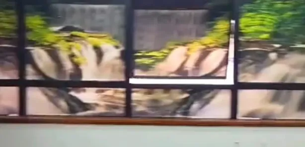 Sala Comercial para venda ou aluguel, 76m² no Centro, Manaus