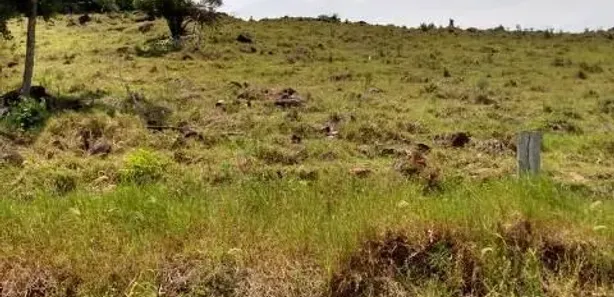 Fazenda/Sítio com 2 Quartos à venda, 35000m² no , Caraá