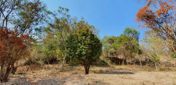 Lote/Terreno à venda, 20000m² no Zona Rural, Fortuna de Minas