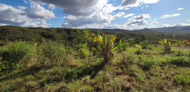 Fazenda/Sítio à venda, 20000m² no , Brasília