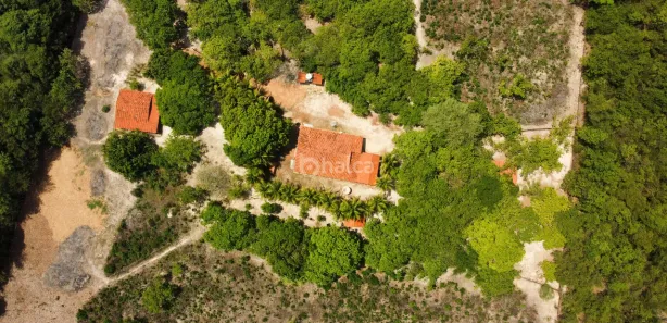 Fazenda/Sítio à venda, 11000m² no , Campo Maior