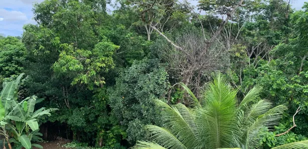 Casa com 5 Quartos à venda, 413m² no Cassange, Salvador