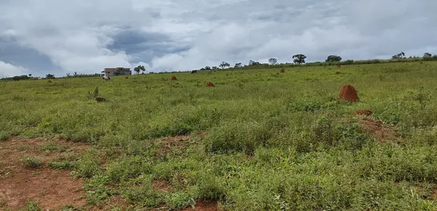 Fazenda/Sítio à venda, 2000m² no , Leopoldo de Bulhões