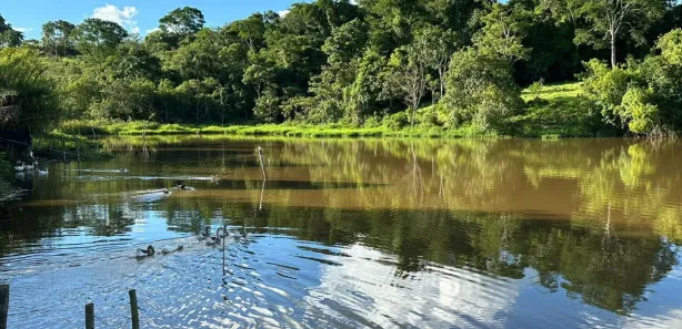 Fazenda/Sítio com 3 Quartos à venda, 2200000m² no , Silvânia