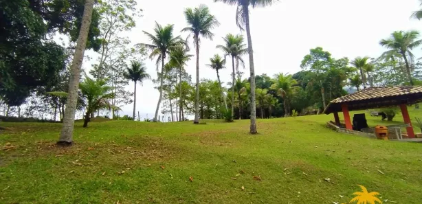 Fazenda/Sítio com 3 Quartos à venda, 350m² no Retiro (Bacaxá), Saquarema