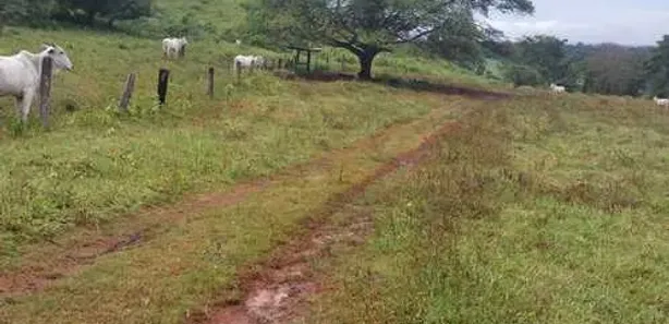 Fazenda/Sítio com 2 Quartos à venda, 100m² no , Itaberaí