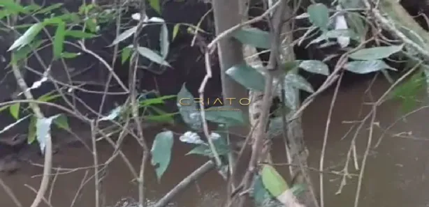 Fazenda/Sítio com 2 Quartos à venda, 5000m² no , Gameleira de Goiás