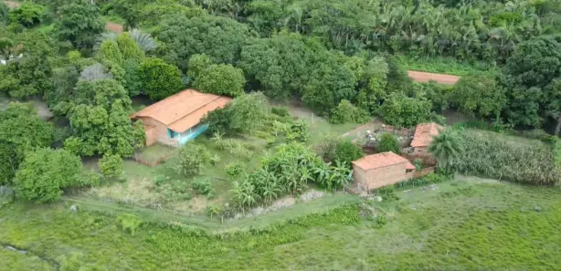 Fazenda/Sítio com 4 Quartos à venda, 12000000m² no Centro, Altos